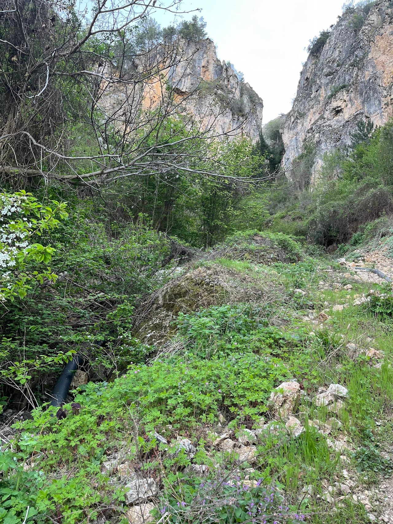Laçin Yeşilgöl Şelalesi 5