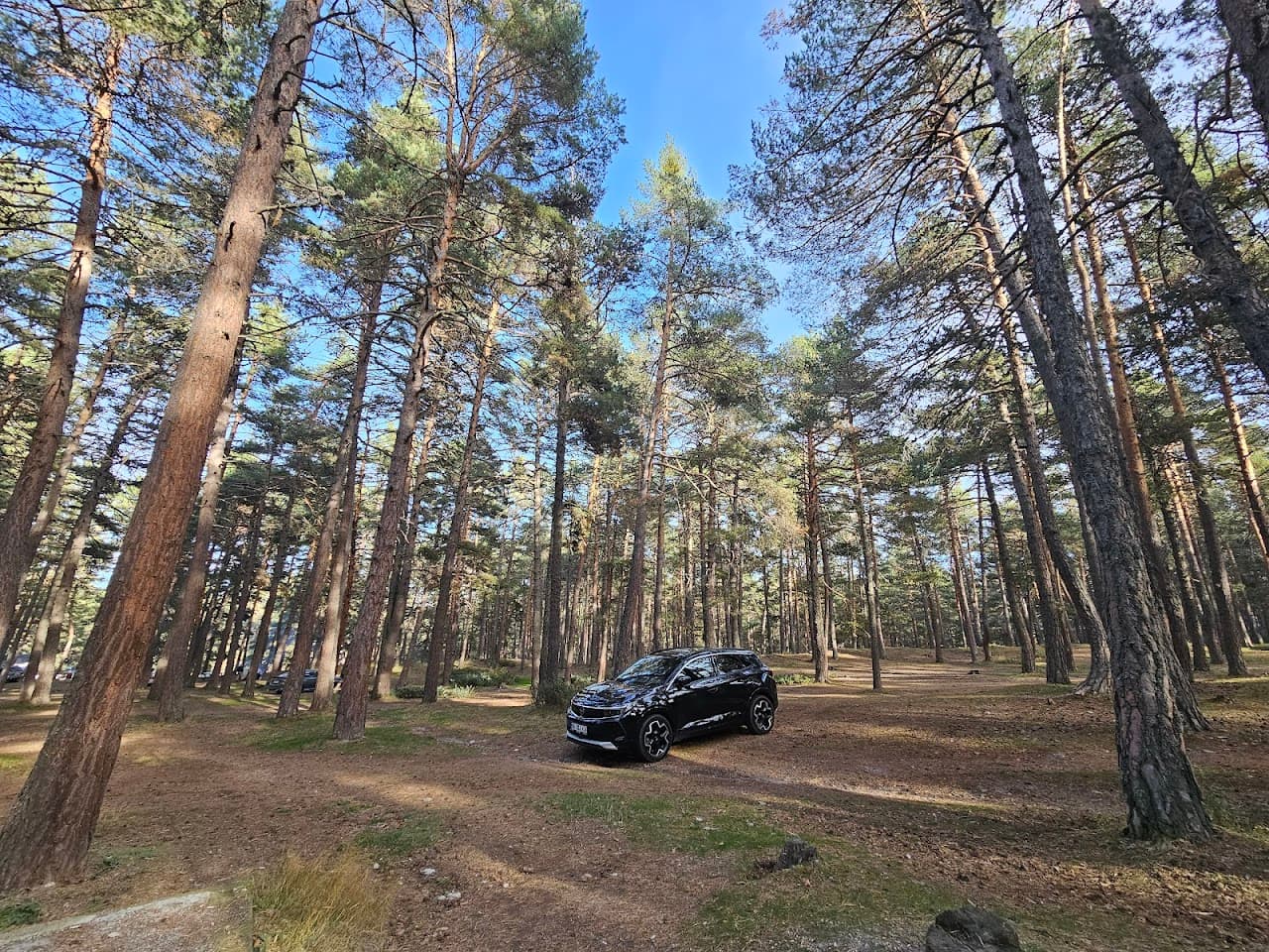 Çamkoru Tabiat Parkı 5