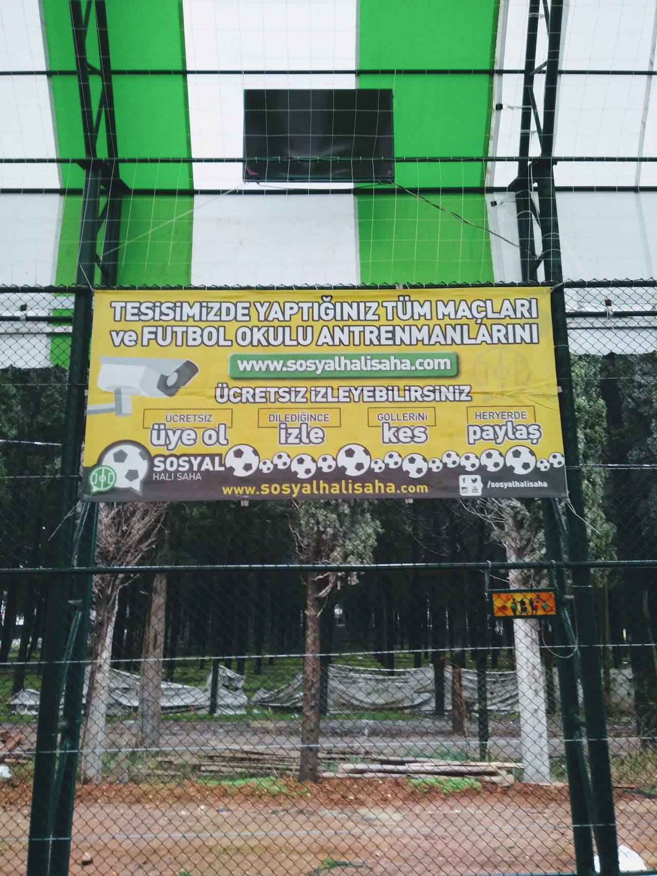 marina hali saha 2