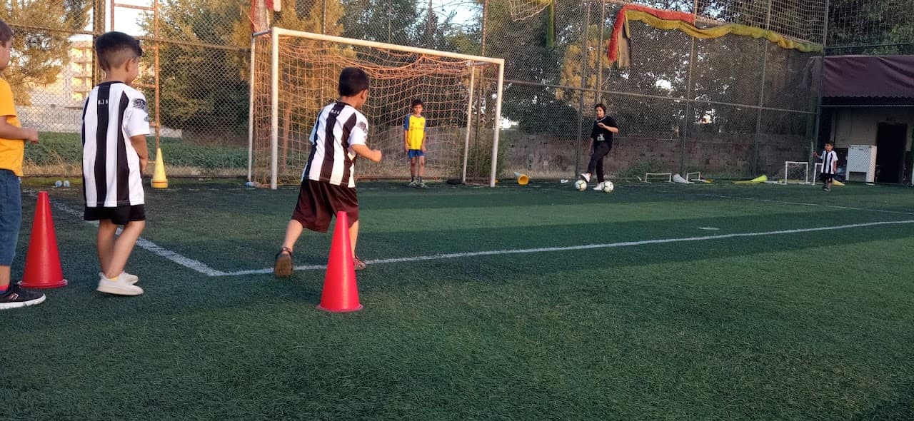 Fanatik halısaha