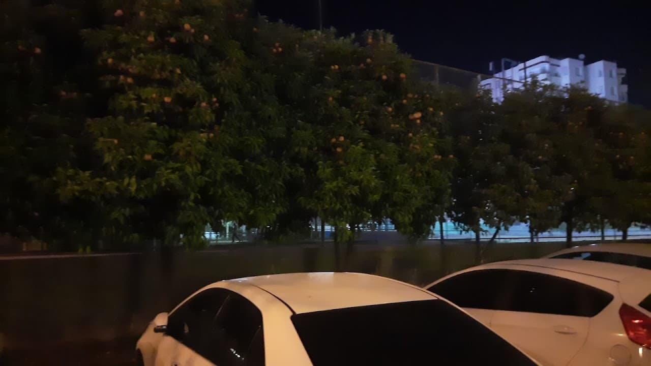 Segem Halı Saha