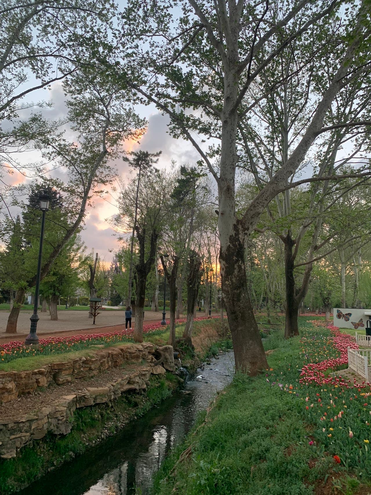 Kavaklık Parkı 2
