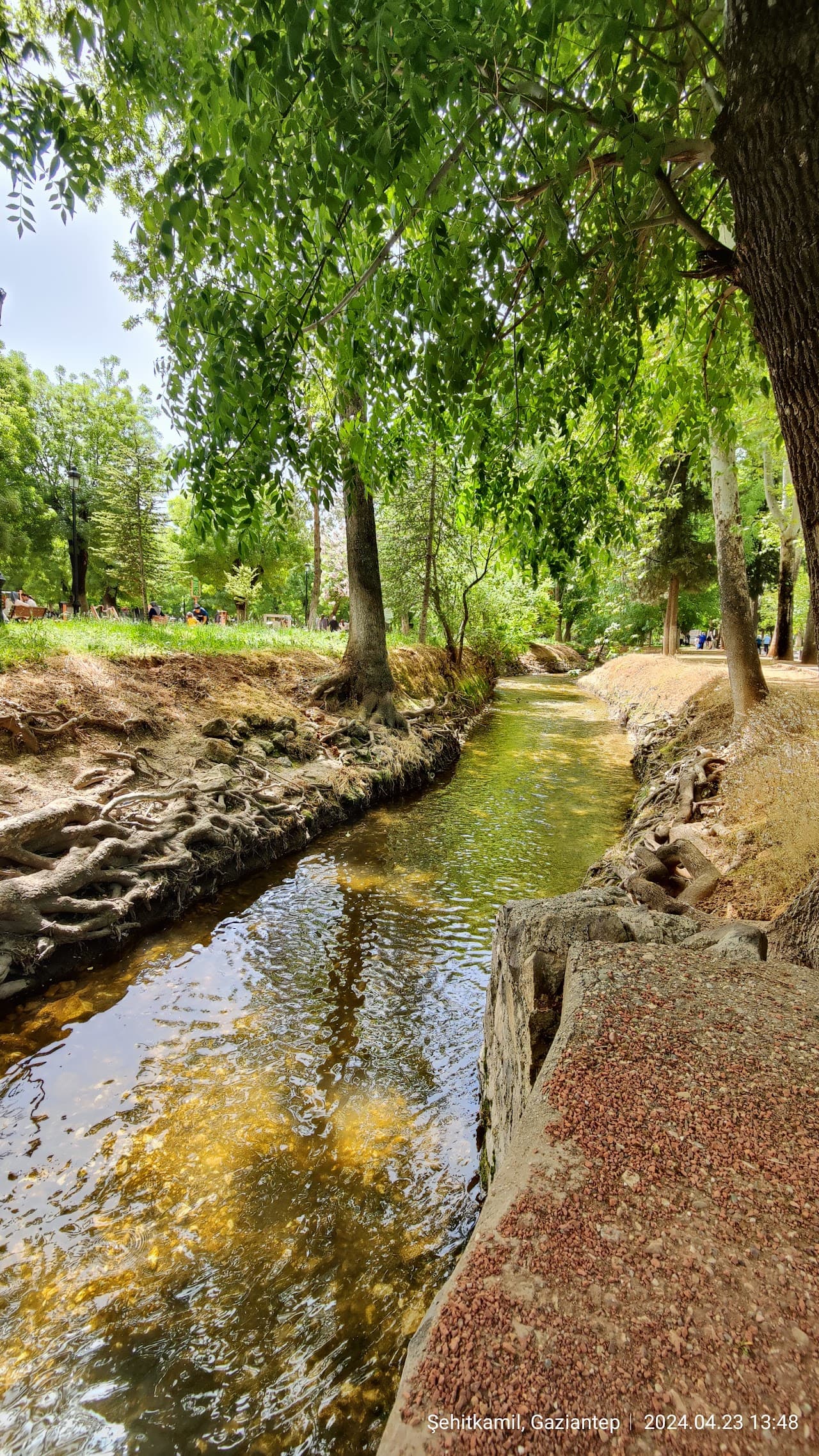 Kavaklık Parkı 3