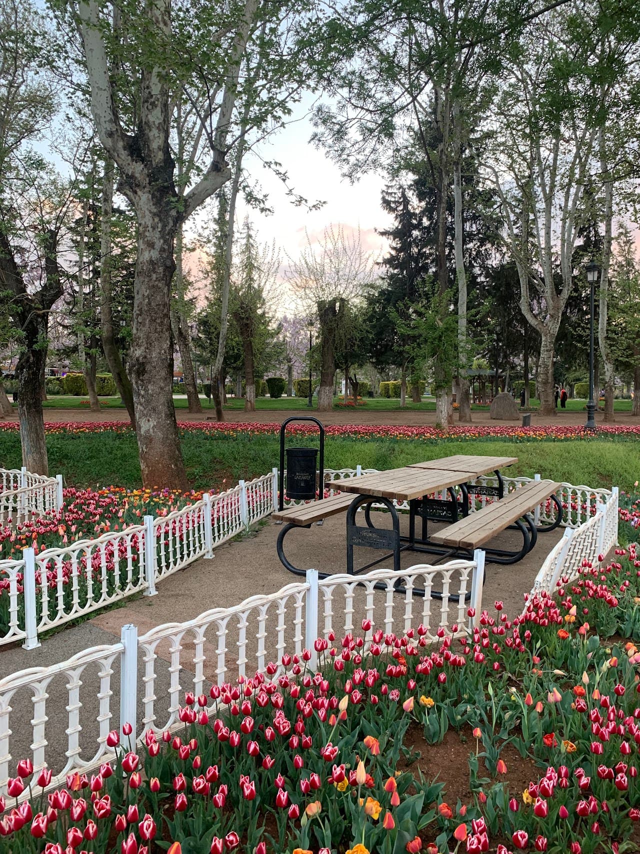 Kavaklık Parkı 4