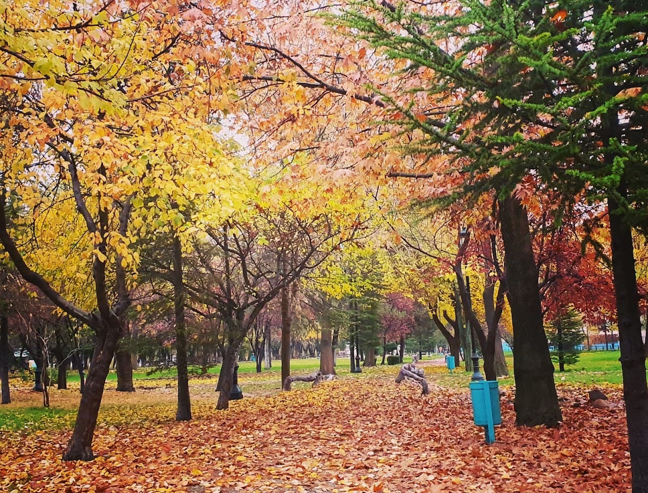 Kavaklık Parkı 5