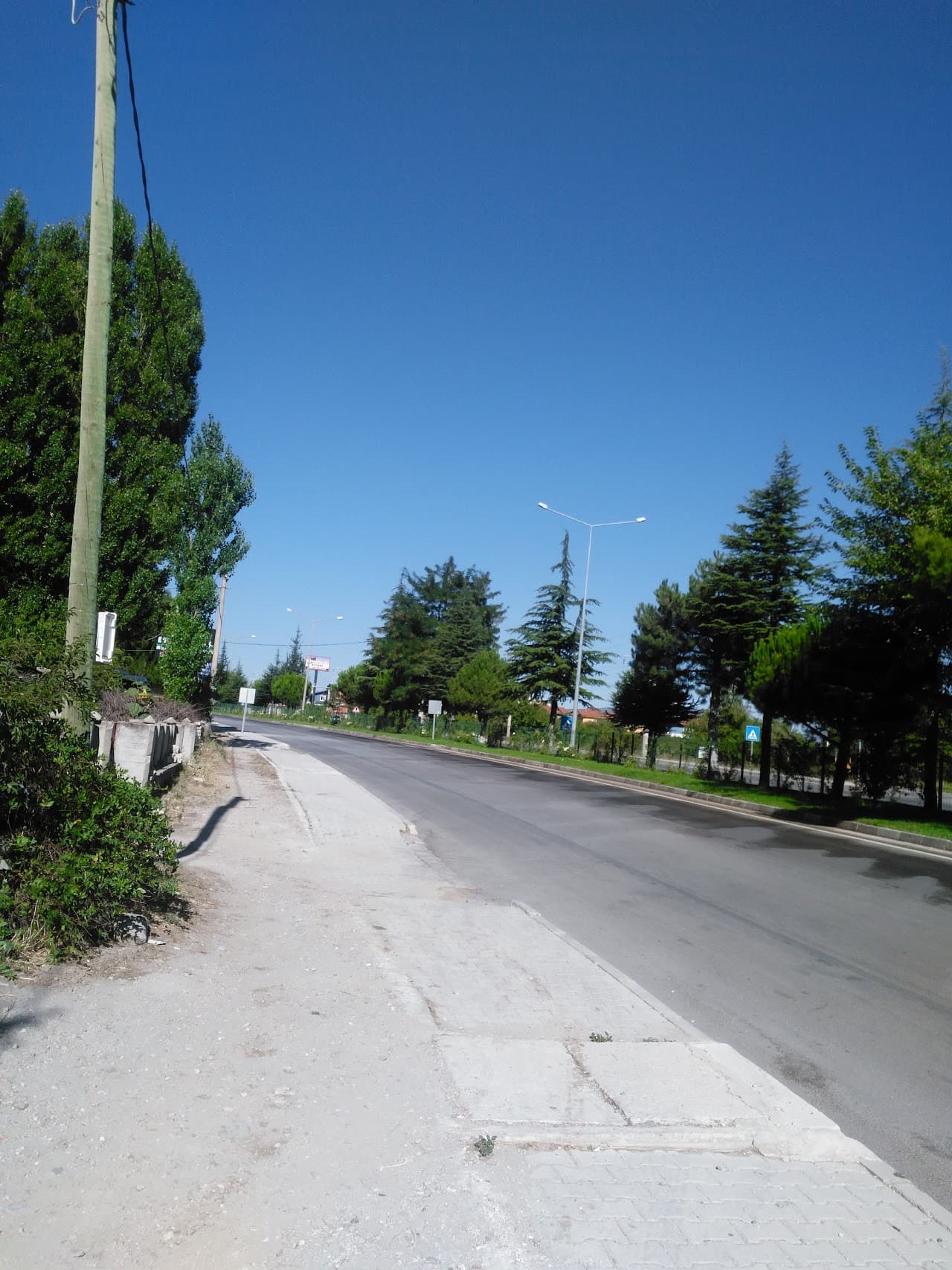 Isparta Sebze Hali 4