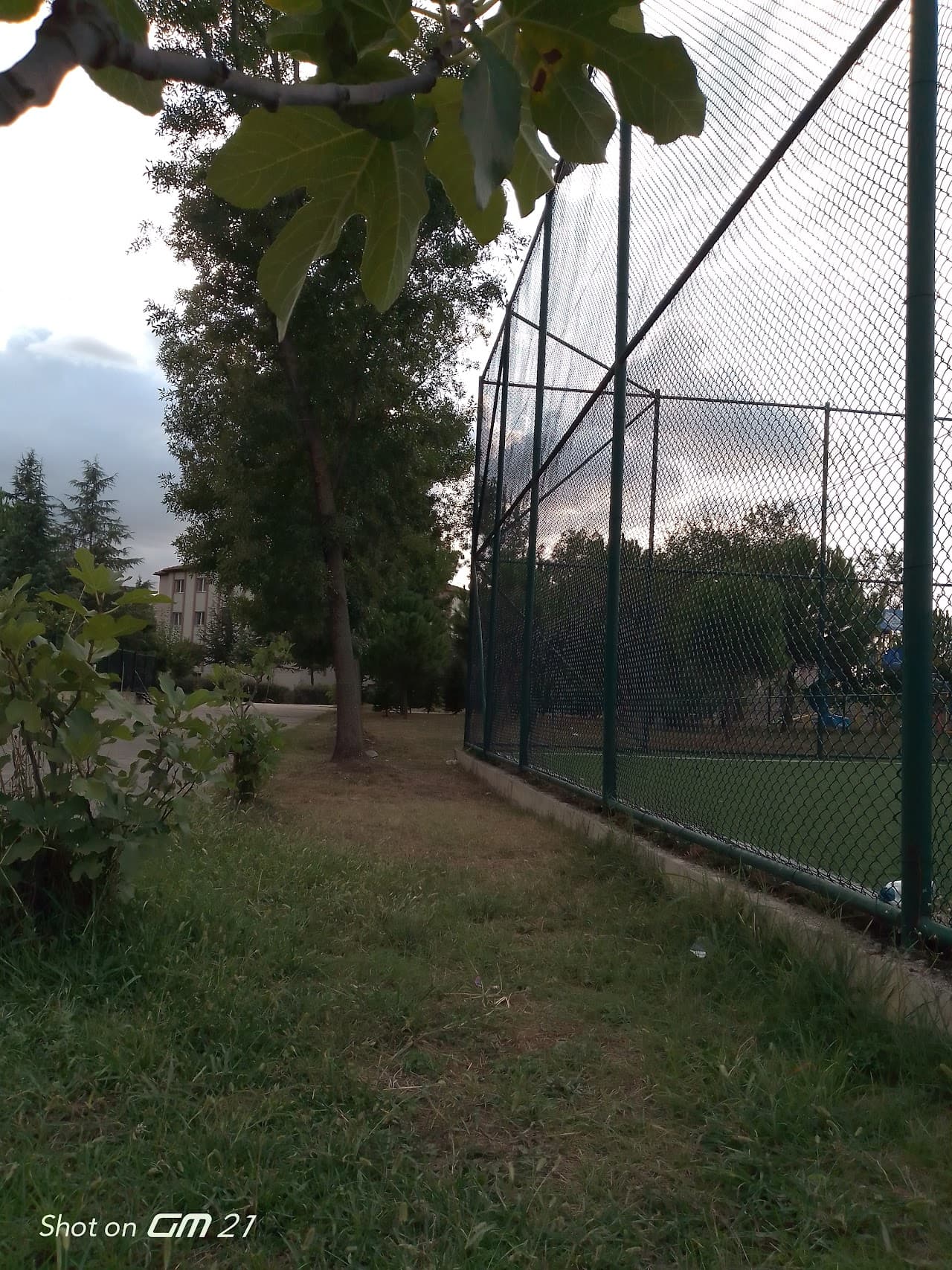 Başiskele Yeniköy Spor Kulübü
