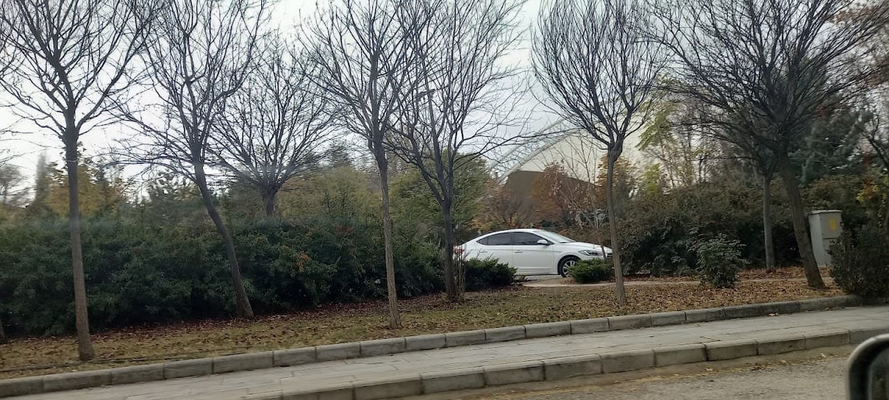 Ankara Üniversitesi Tandoğan Halı Saha 4
