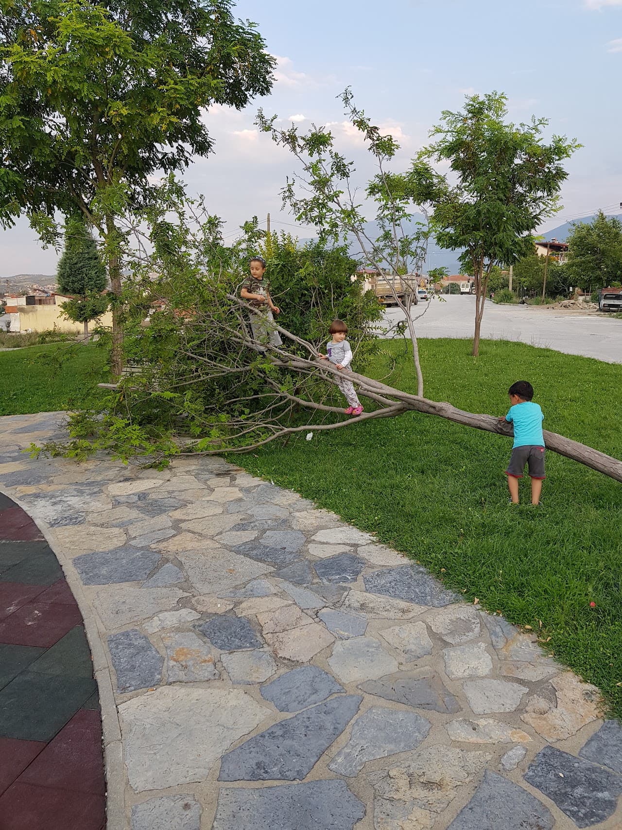 pfsk Halı Saha Ve Çay Bahçesi 2