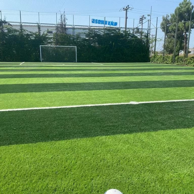 Çalı Çim Halı Saha (Egemen Spor Tesisleri)
