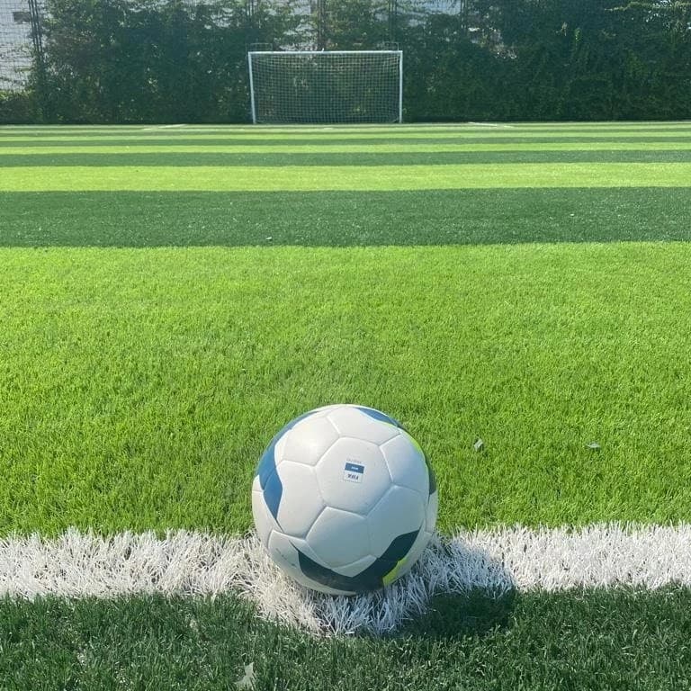 Çalı Çim Halı Saha (Egemen Spor Tesisleri) 2