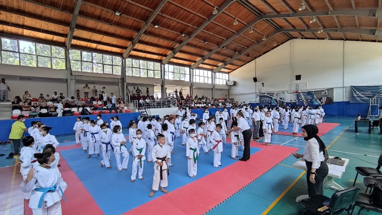 Koçarlı Spor Sahası 3