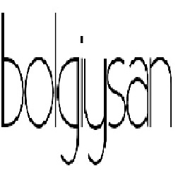 BOLGİYSAN YATIRIM A.Ş. 2