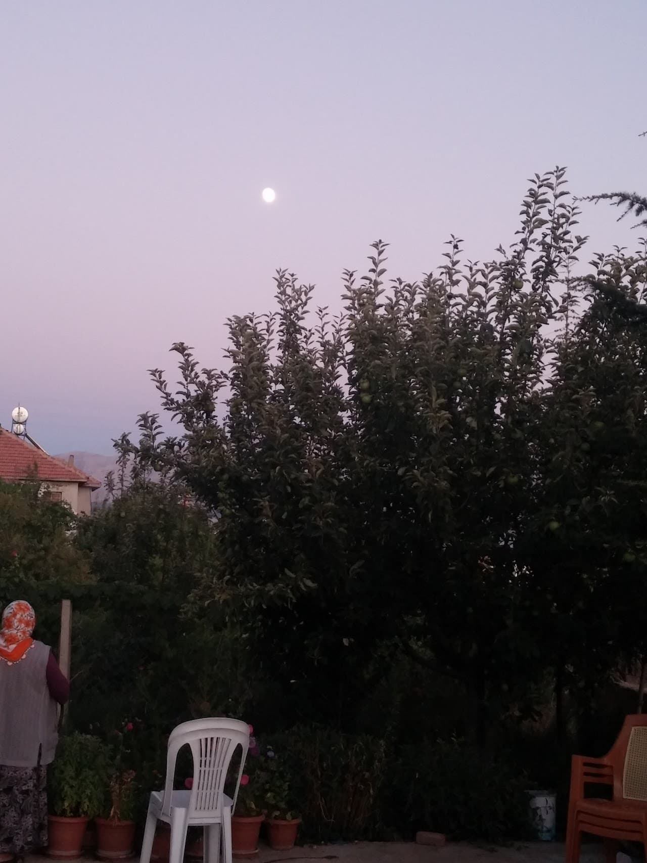 Ulukışla Halı Saha (2) 4