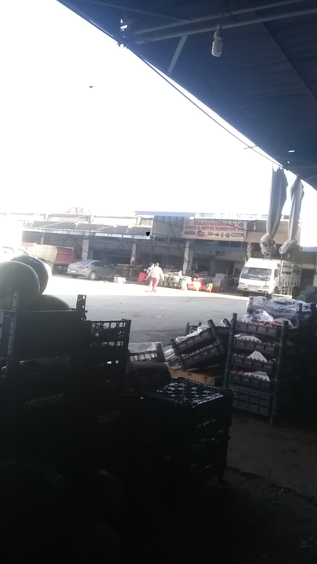 Ceyhan Sebze Hali 5