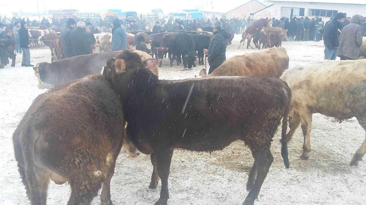 Yıldızlar Halı Saha 2