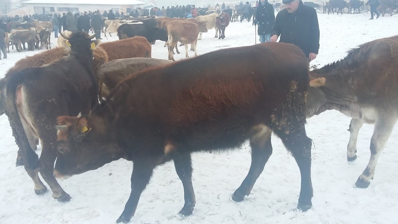Yıldızlar Halı Saha 5