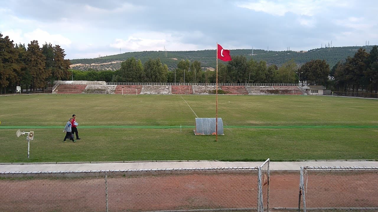 Petkim Stadyumu