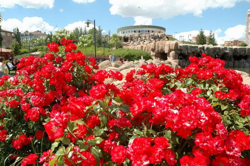 Gökçek Parkı 5