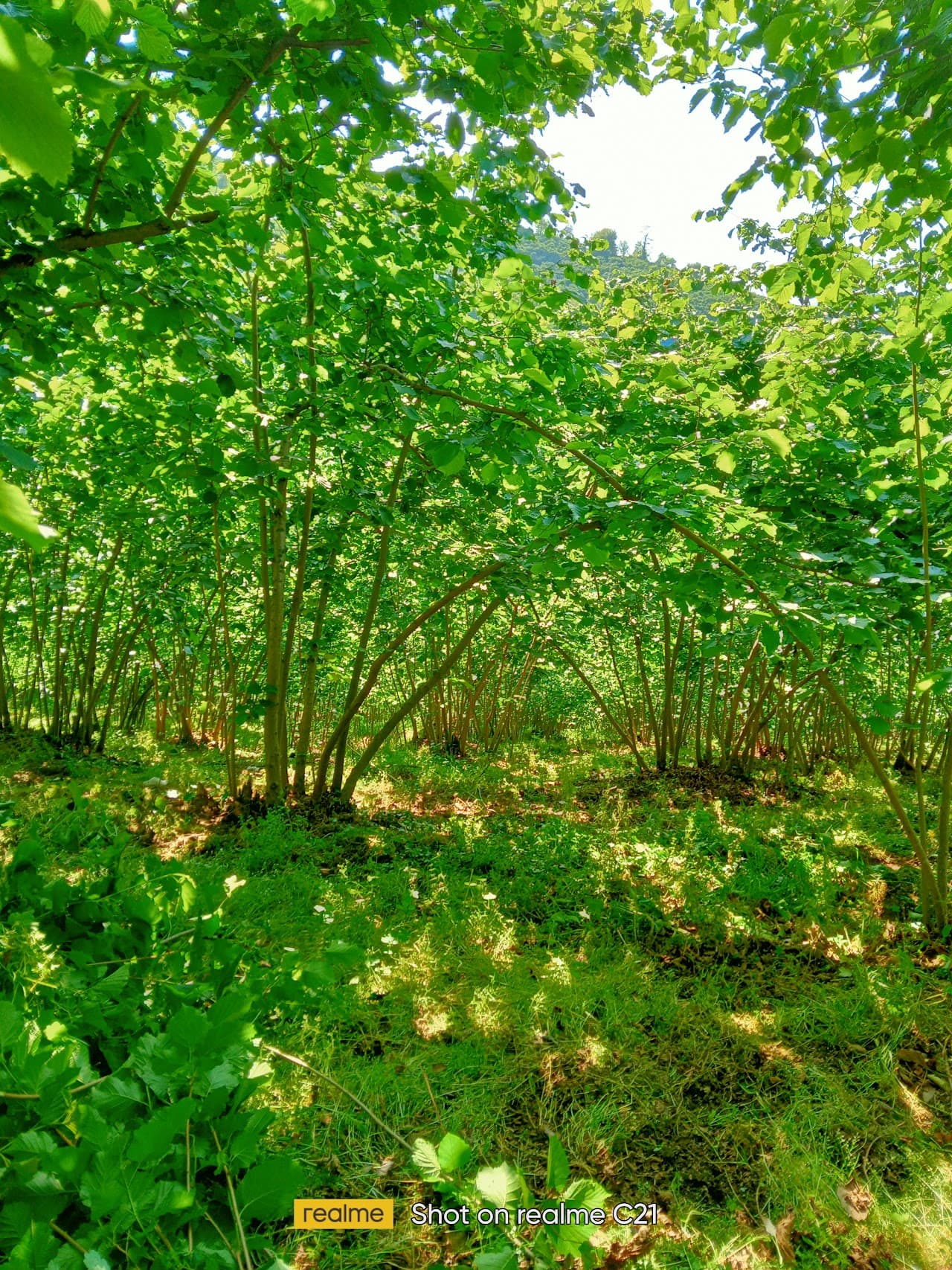Halı Saha (4) 5