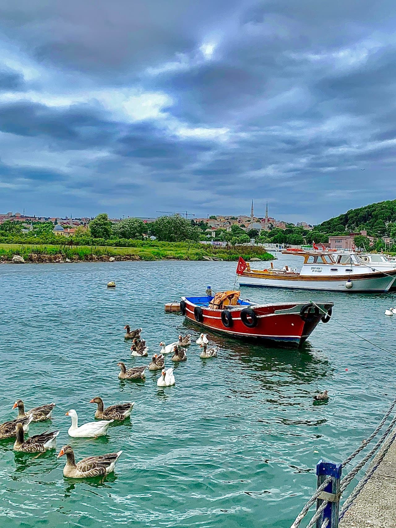 Eyüp Spor Tesisleri 3