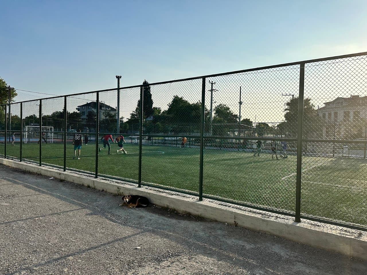 Söğütlü Spor Kulübü