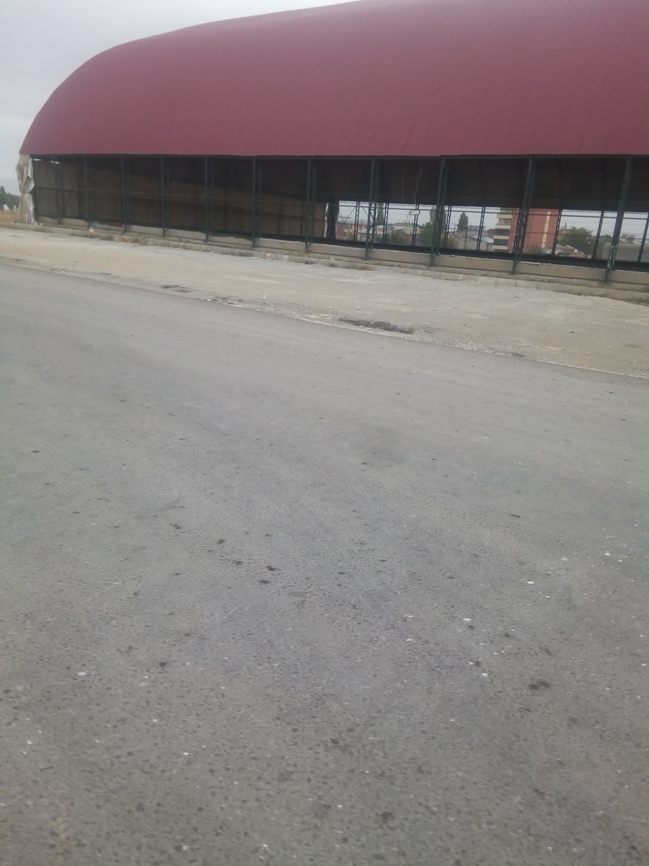 Sato Park Hali Saha 2