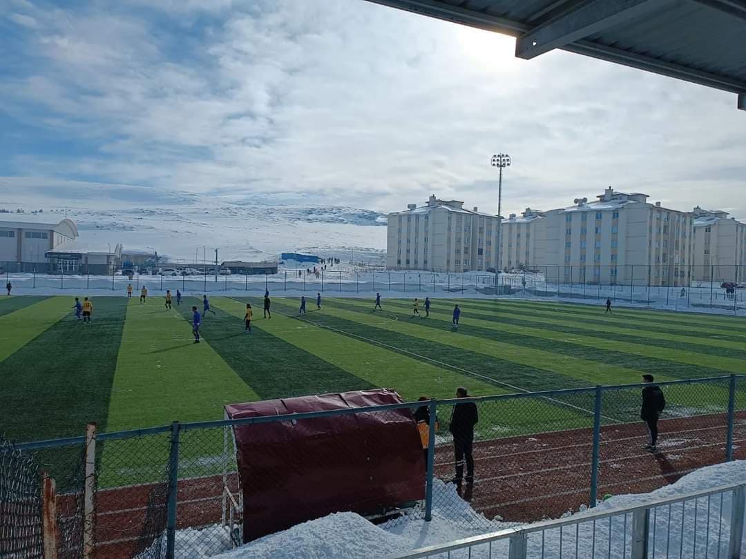 Göle Sentetik Çim Yüzeyli Futbol Sahası 2