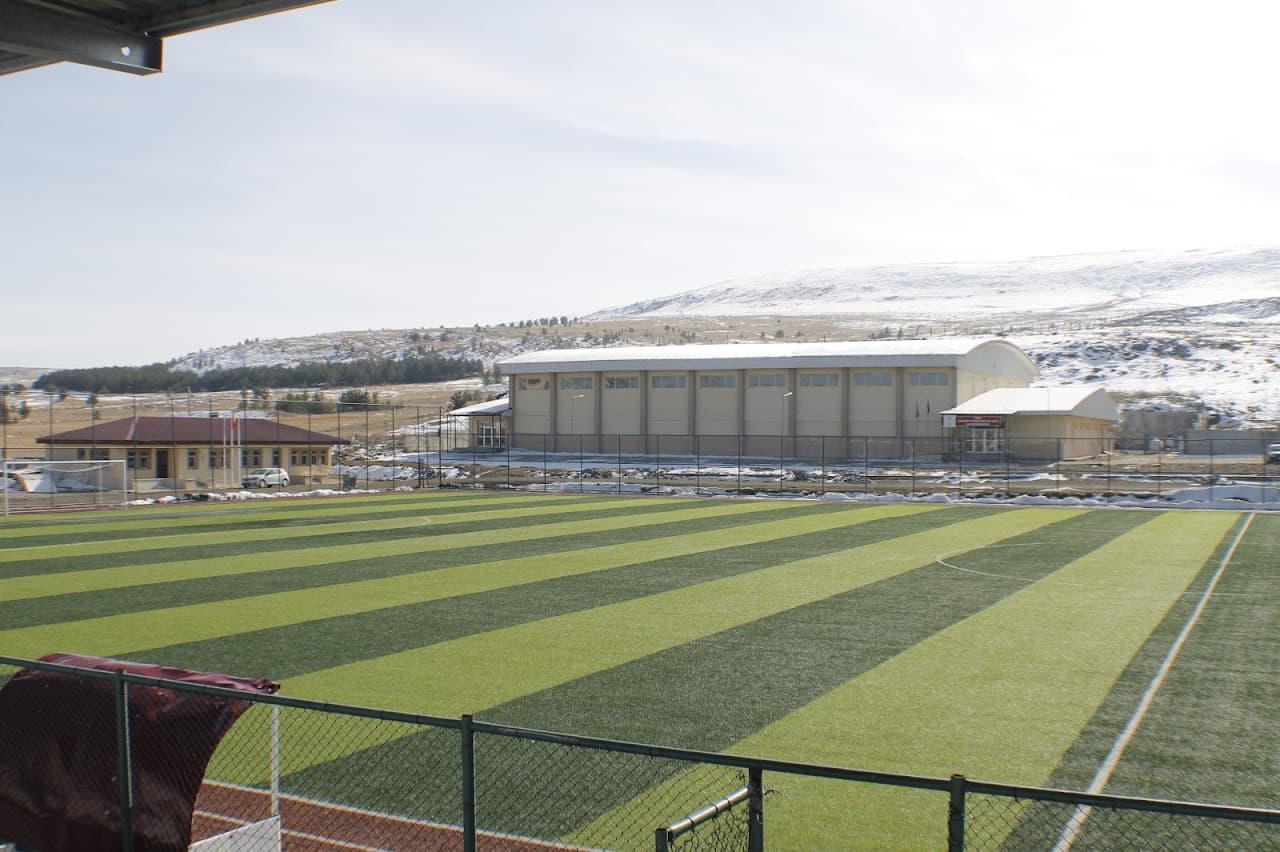 Göle Sentetik Çim Yüzeyli Futbol Sahası 4