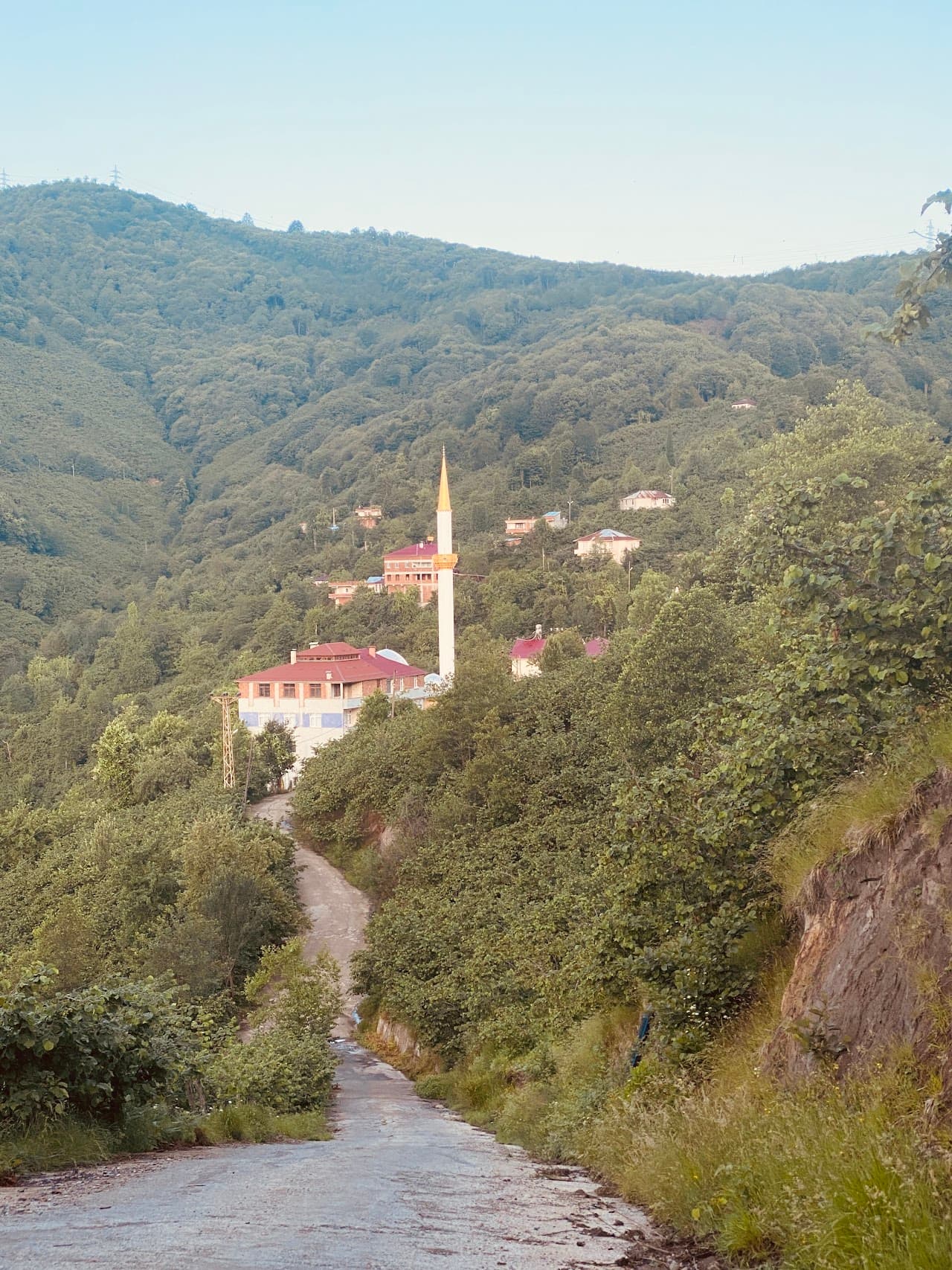 Yağlıdere Belediyesi 2