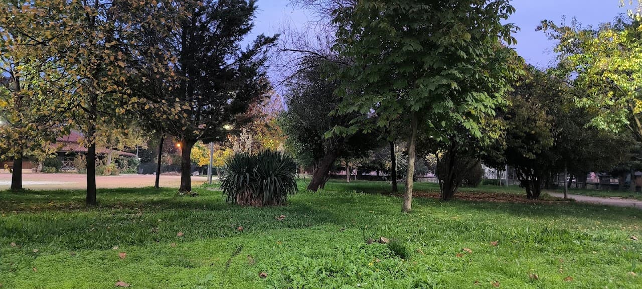 ÇOBANYILDIZI HALI SAHA 3