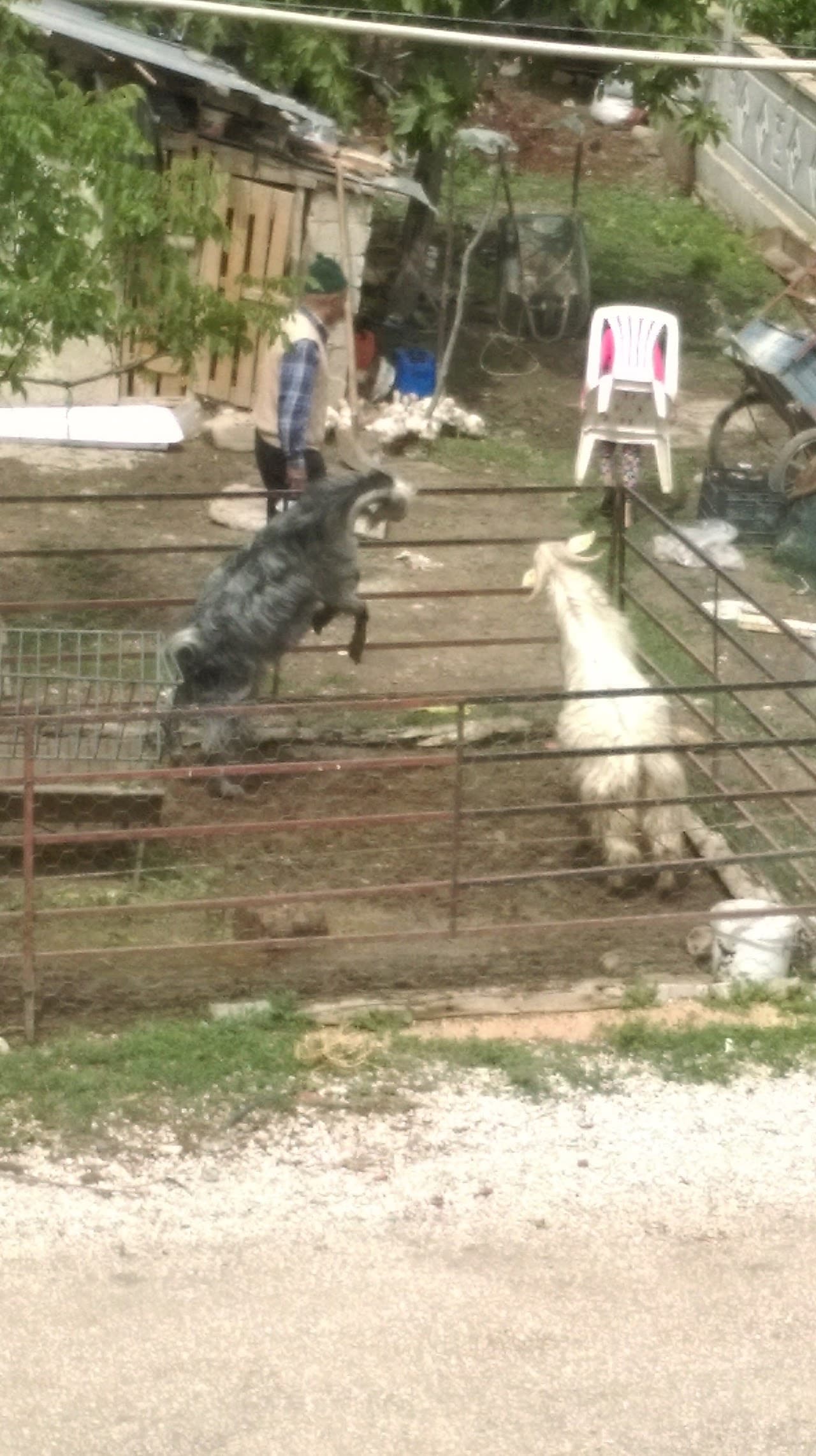 Halı Saha (6) 5