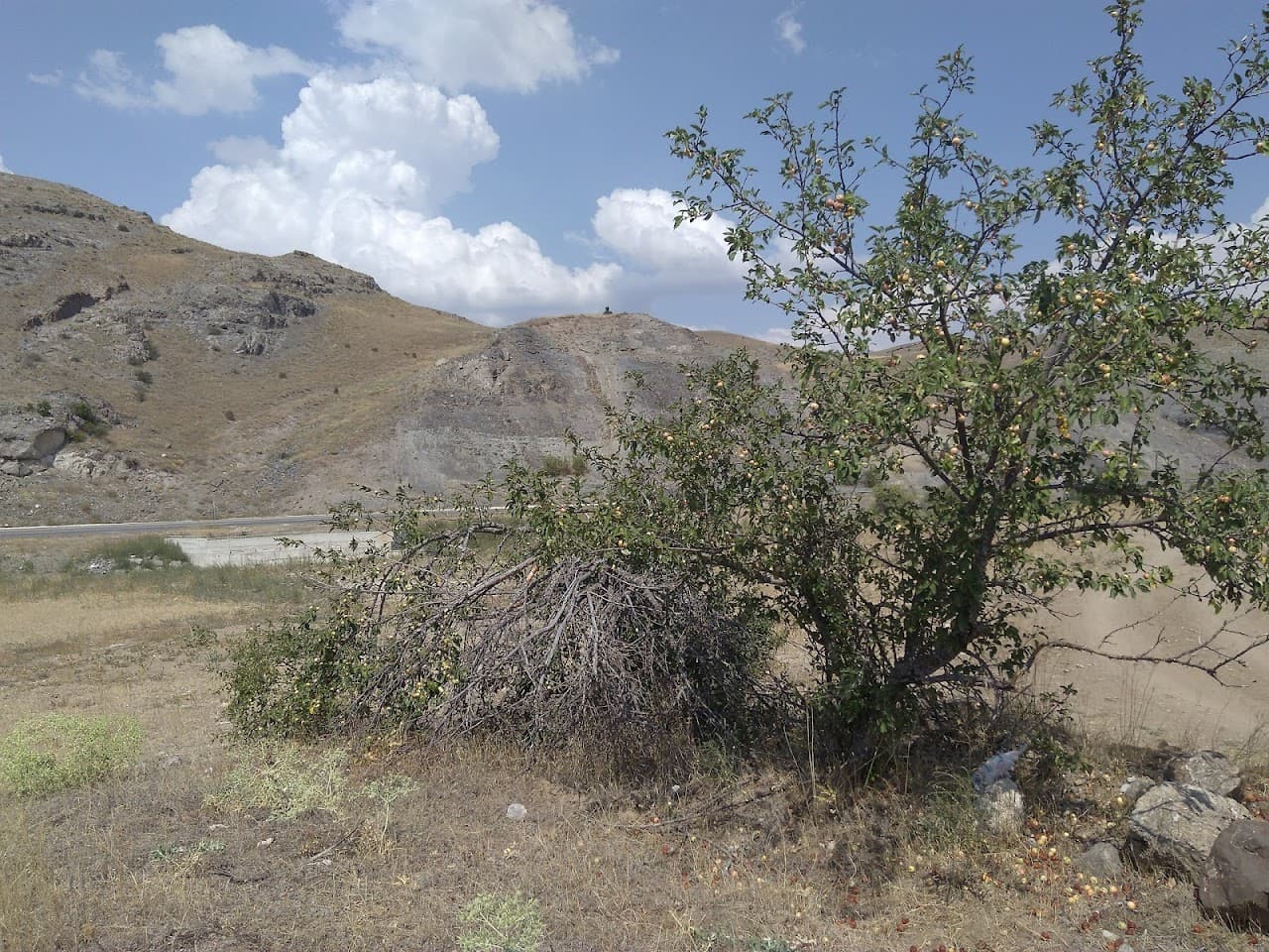 Pazaryolu Belediyesi 4