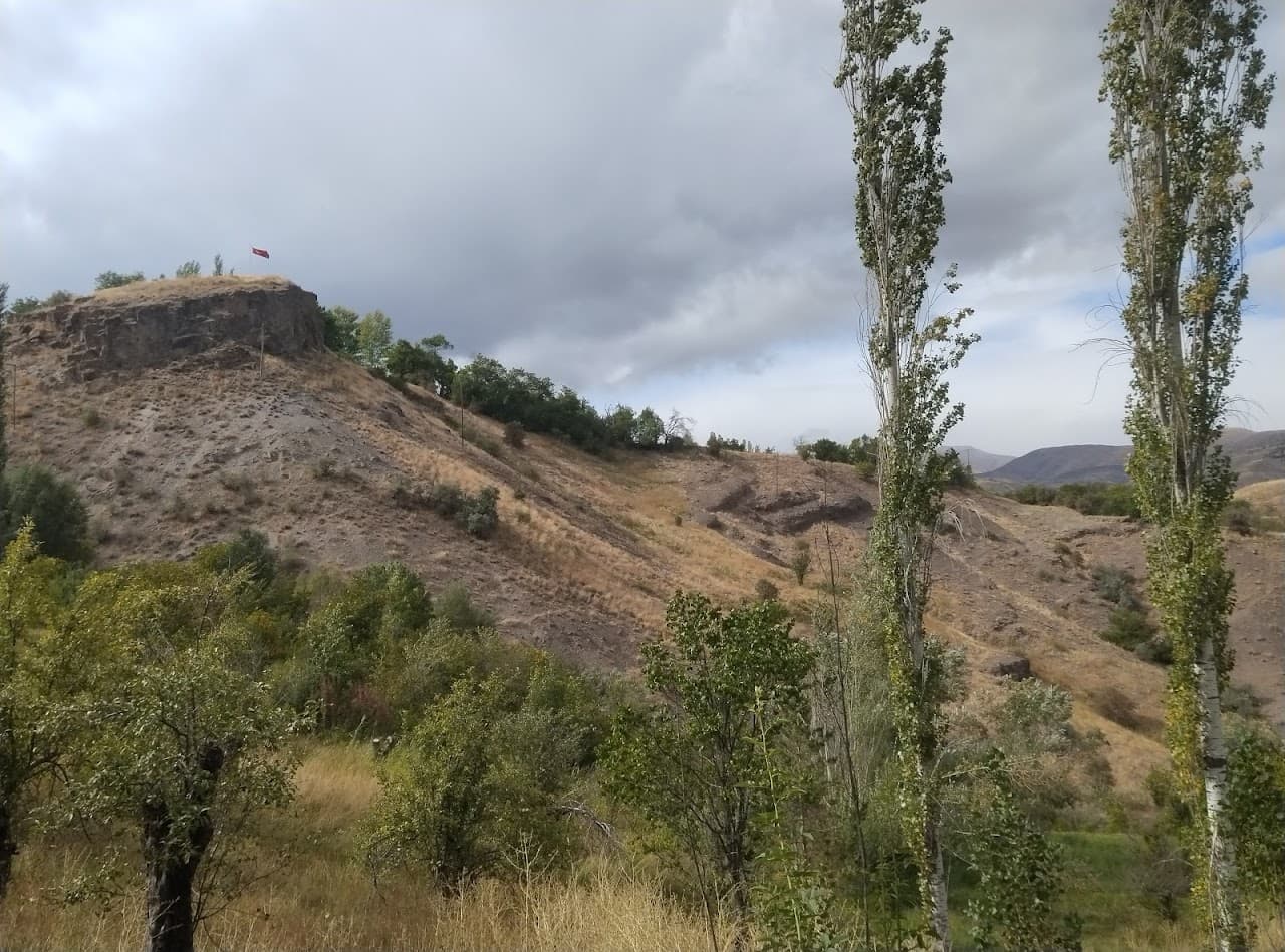 Pazaryolu Belediyesi 5