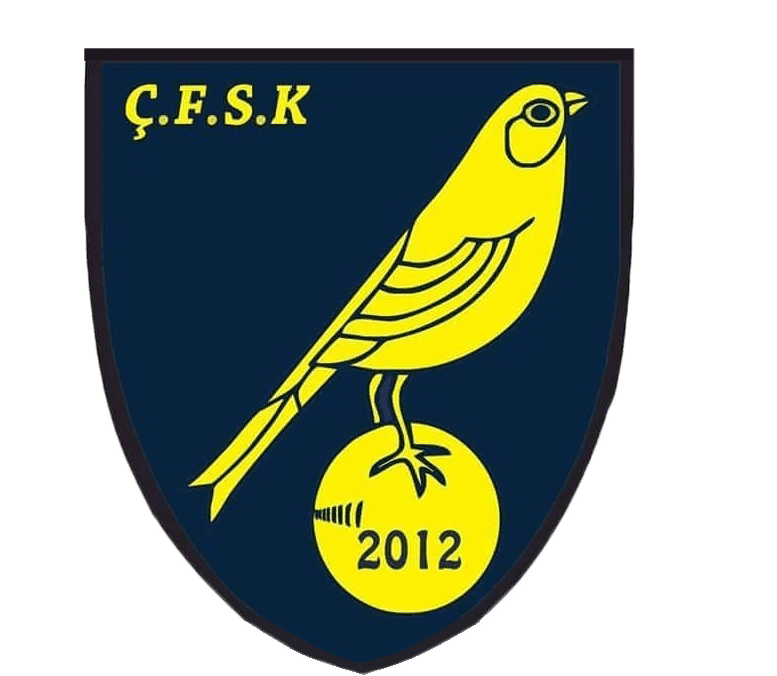 Çorlu Fener Spor Kulübü 2