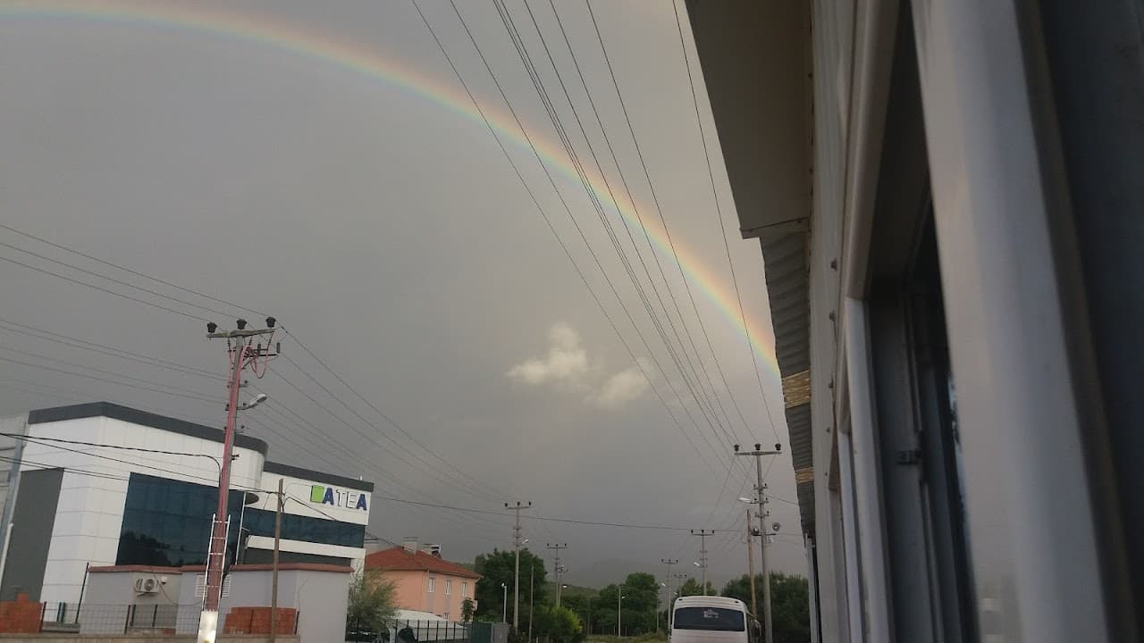 Halı Saha (5) 2