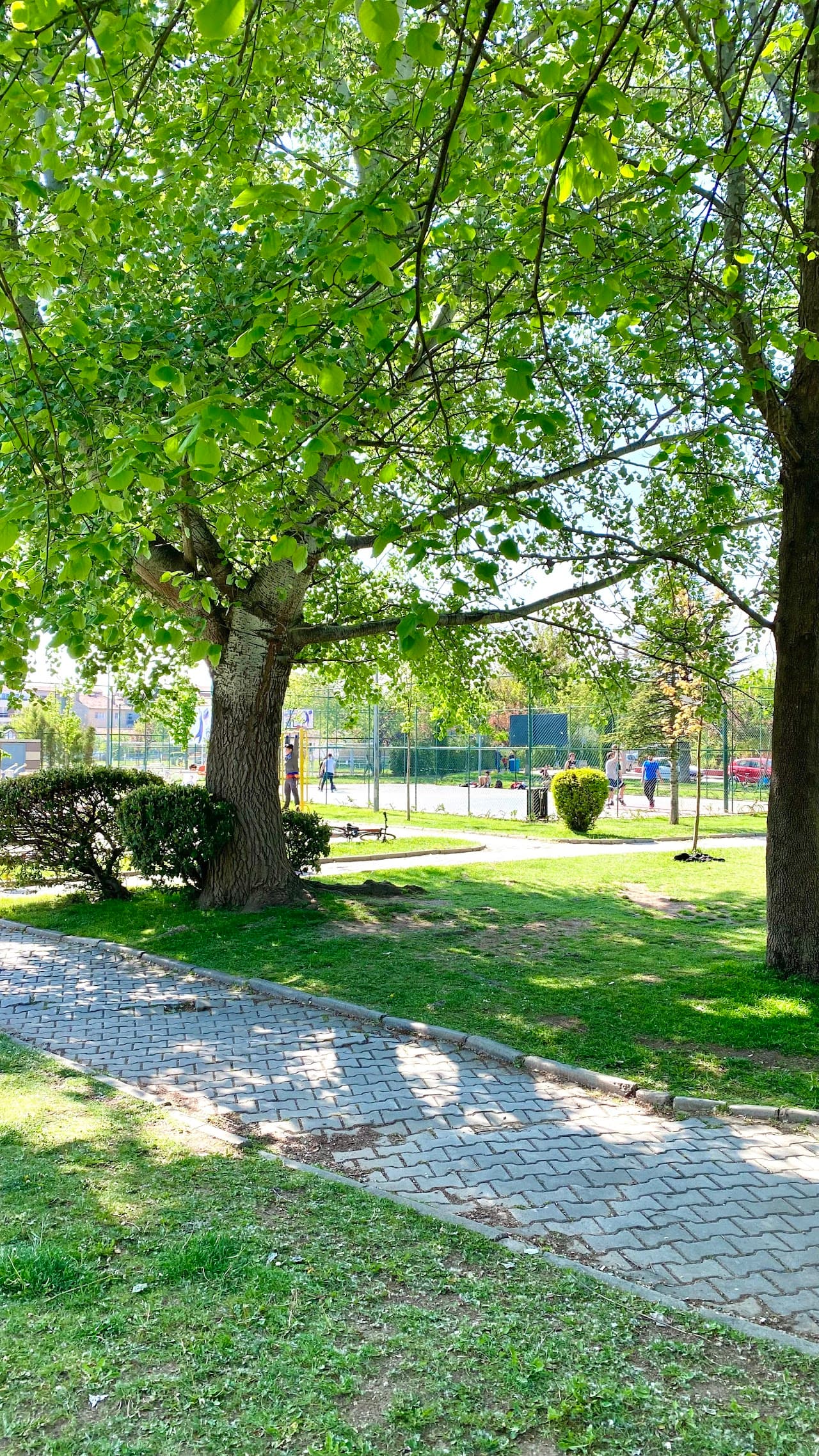 Osmangazi Spor Sahası 4