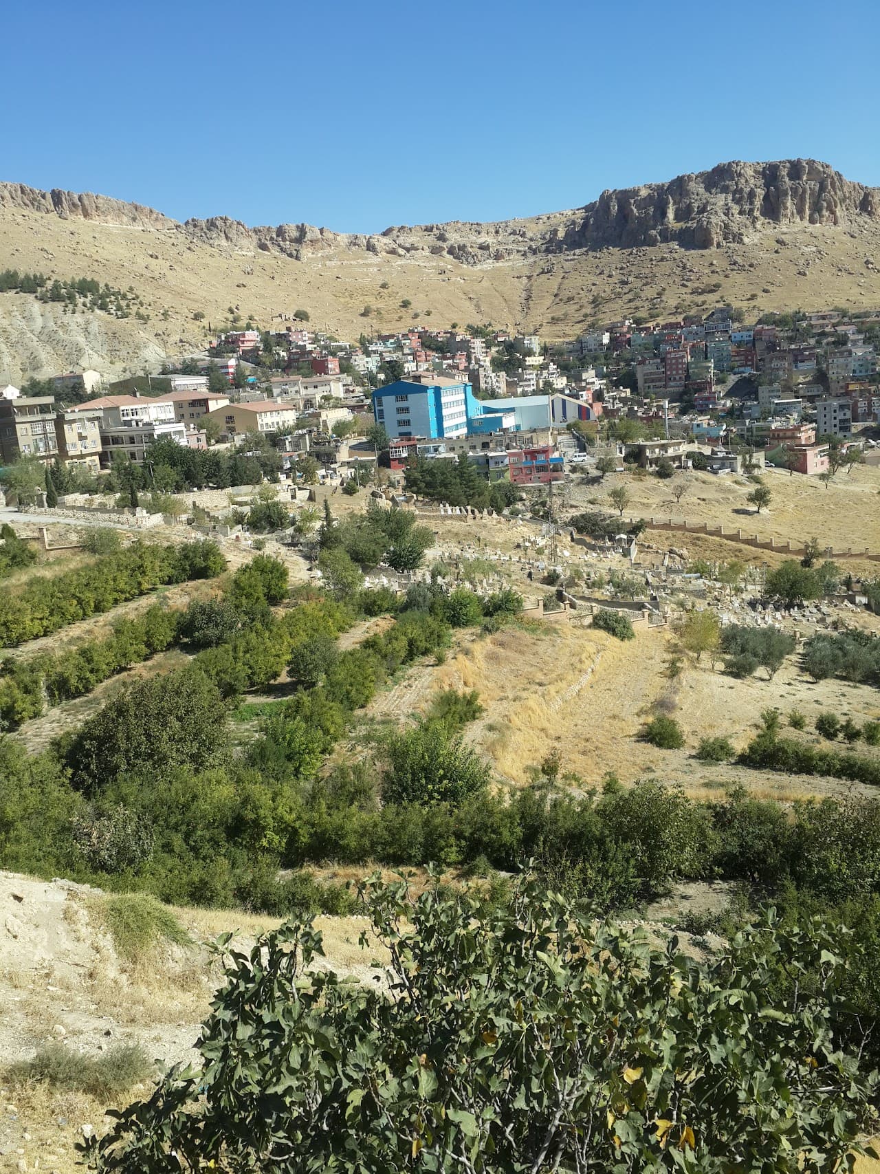 Halı Saha 2