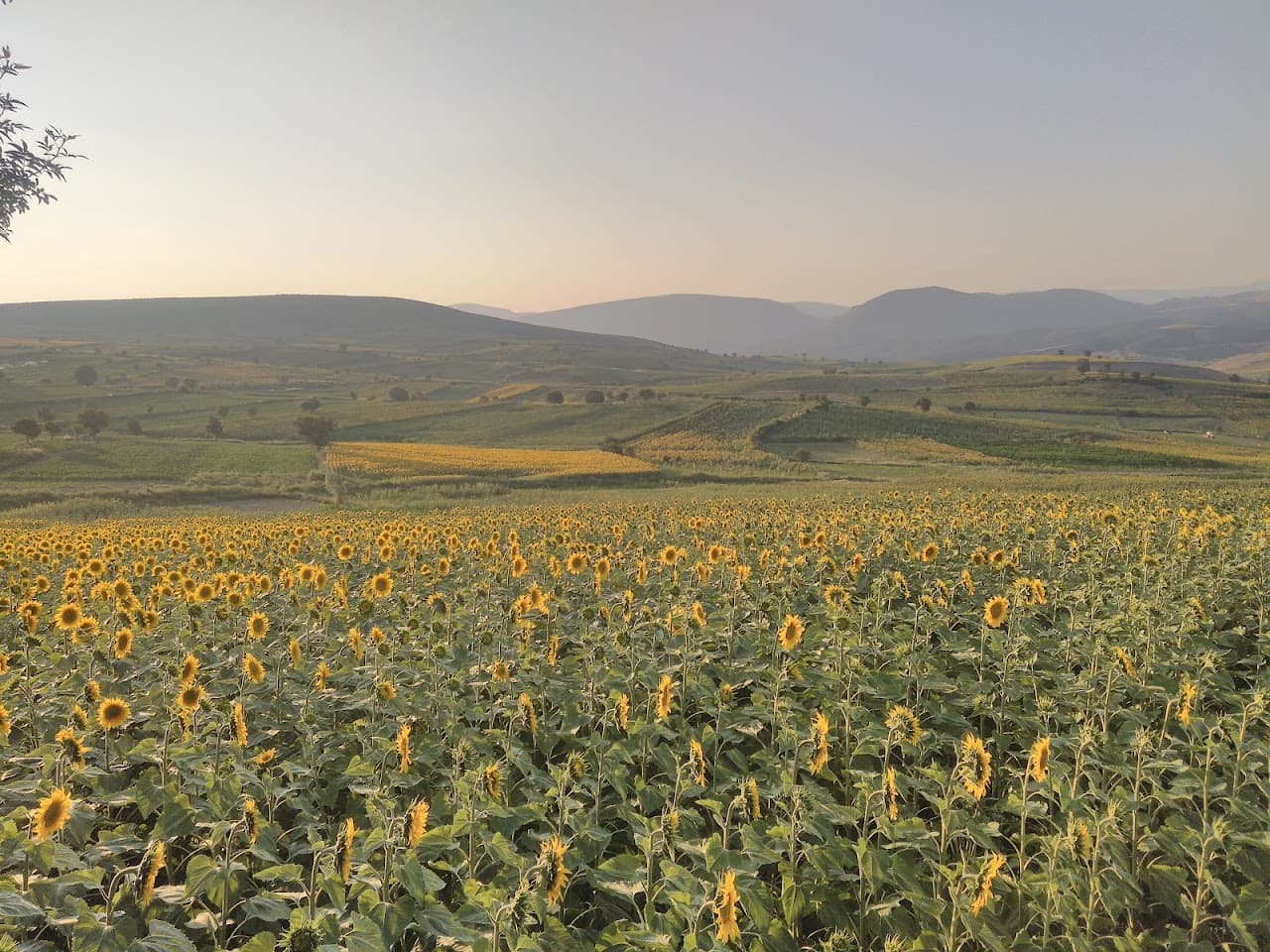 Halı Saha (5) 3