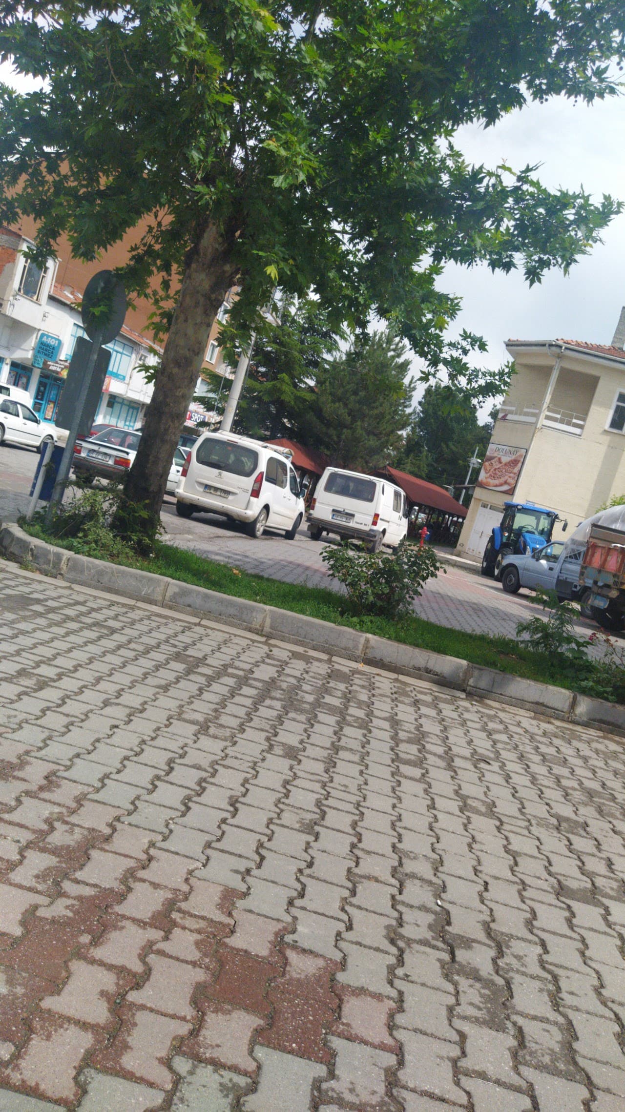 Bayat Belediyesi 2