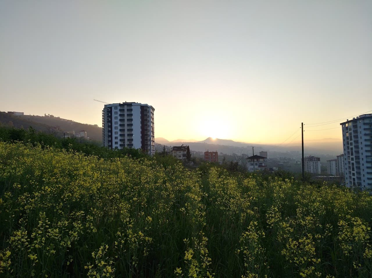 Galanima Halı Saha 4