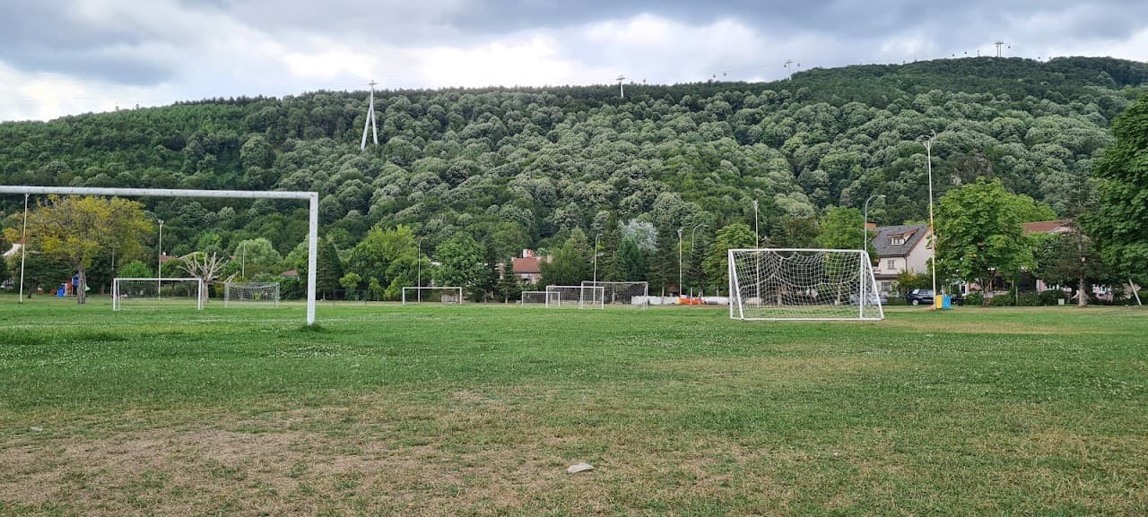Futbol Sahası (2) 2