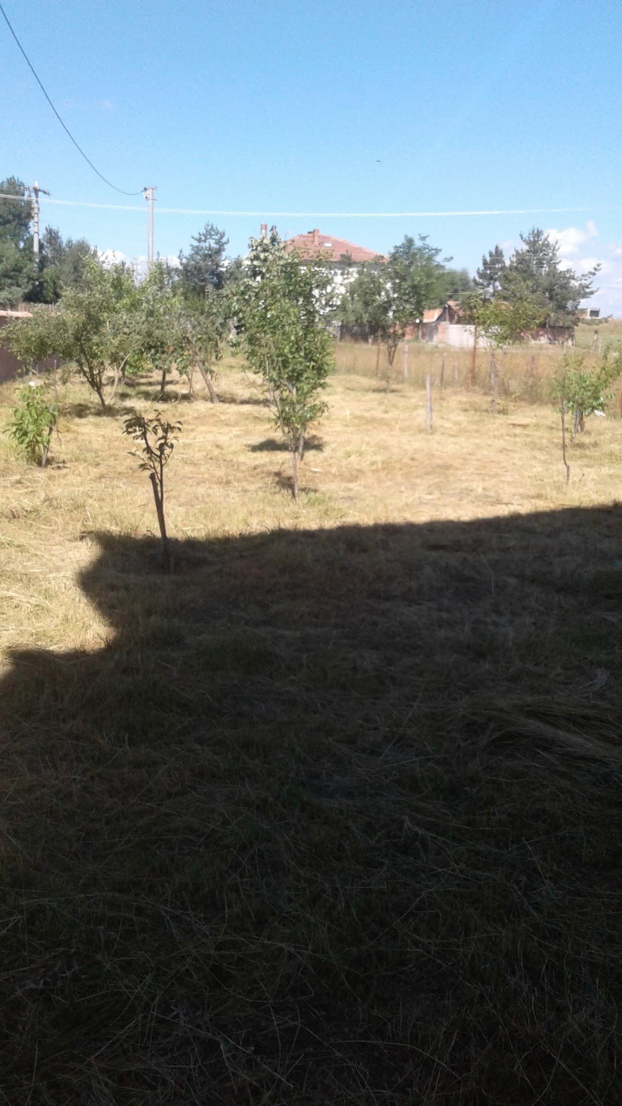 Halı Saha (5)