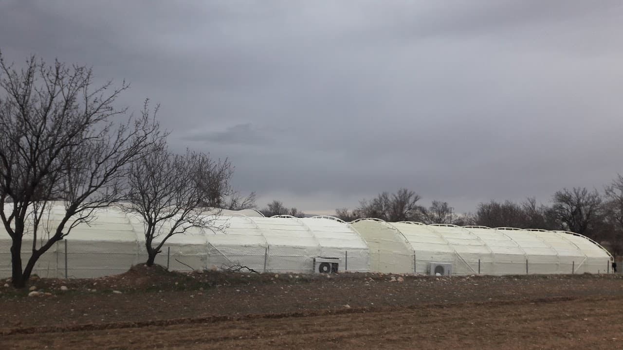 Baklan Stadı 5