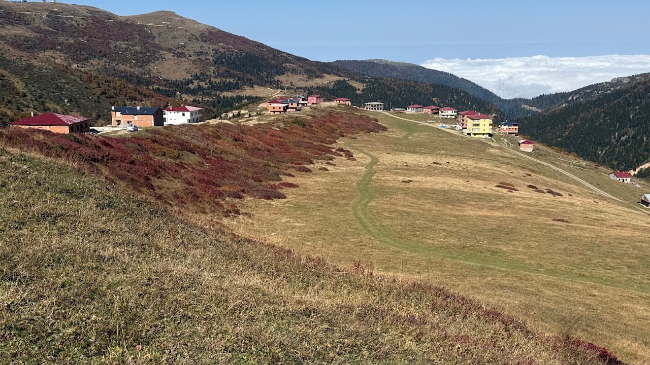Hayrat Sarmaşık mahallesi Mele Baragam