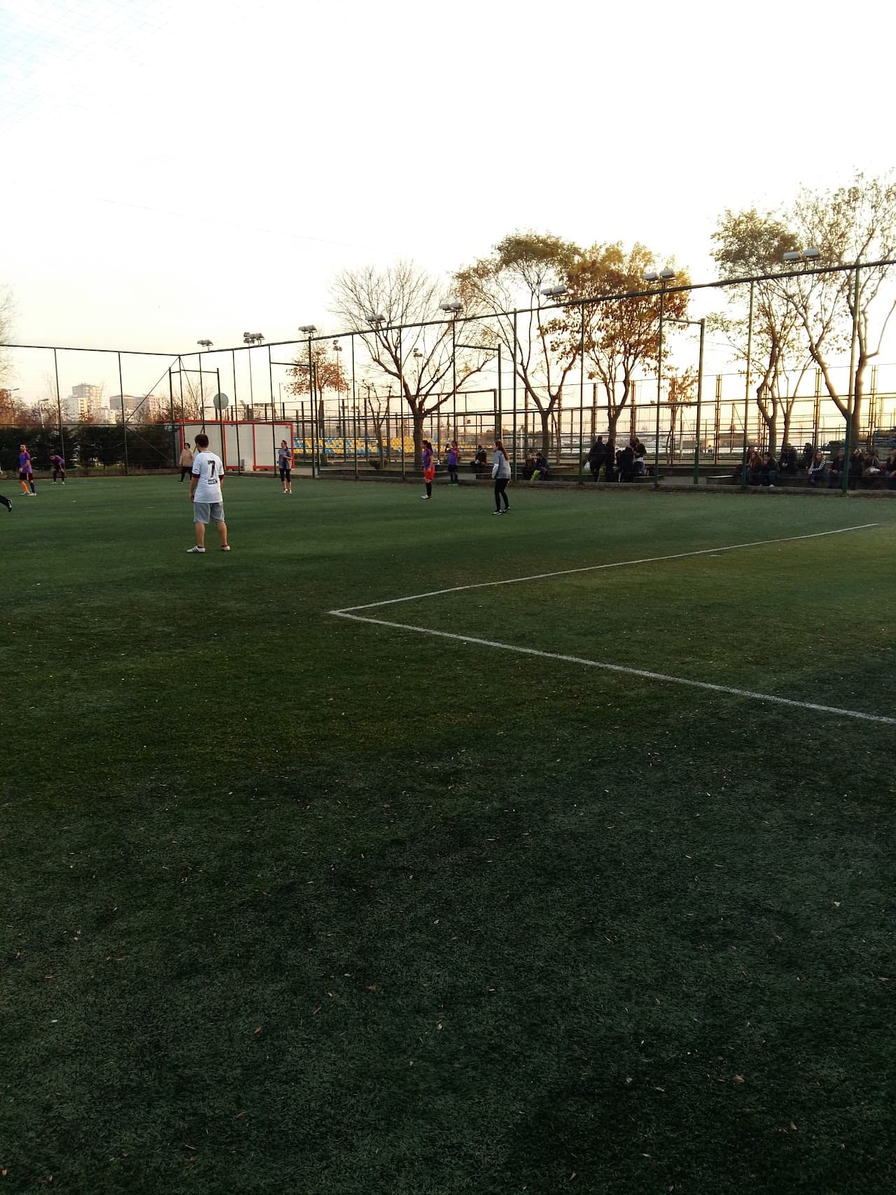 Futbol Sahası (2) 2