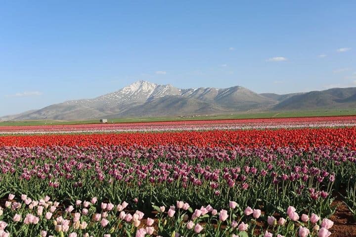 Kazımkarabekir Belediyesi 5