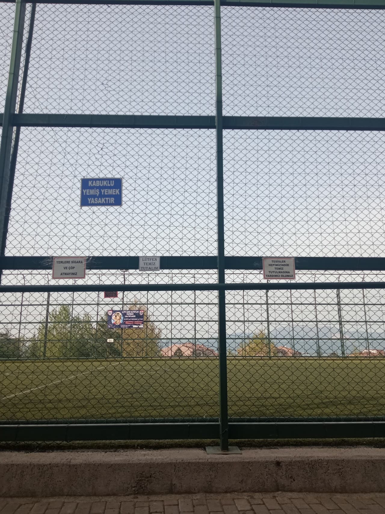 Arena Hali Saha