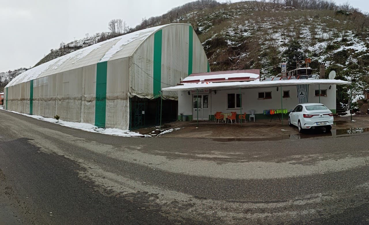 Çotanak Halısaha Giresun 2