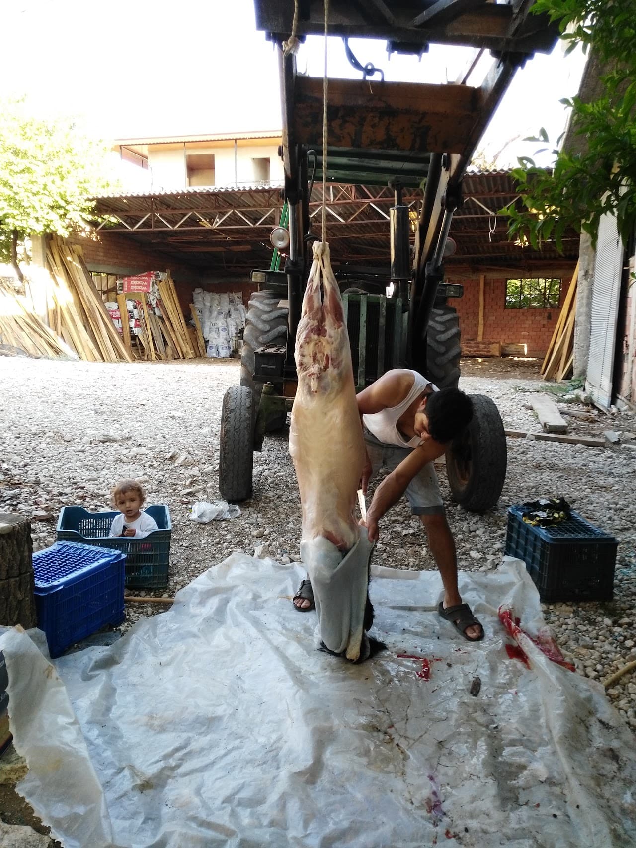 Yeşilyurt Halı Saha 3